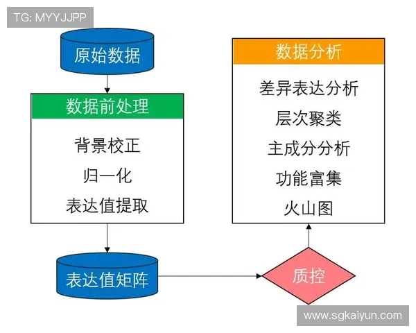 db体育的体育数据分析工具使用指南